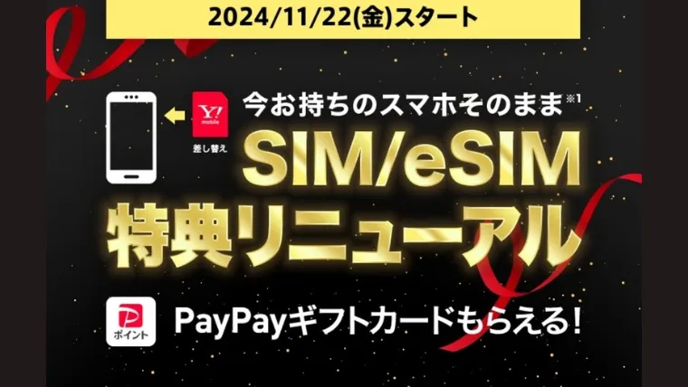 ブラックフライデー